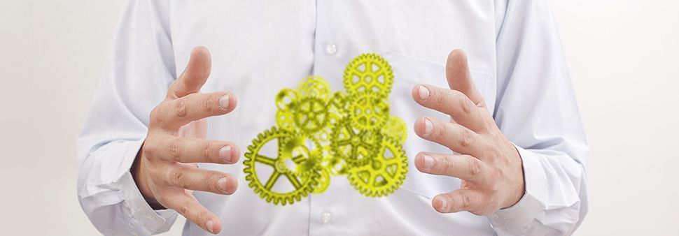 comment prendre soin de notre microbiote intestinal en toute saison Image