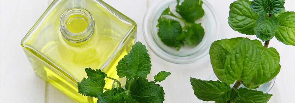 huiles essentielles indispensables pour affronter les maux de l hiver biophenix Image