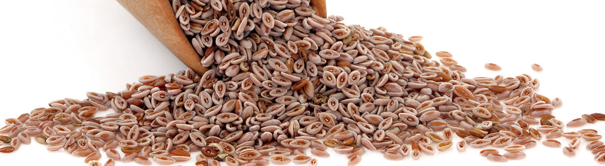 ispaghul bienfait Image