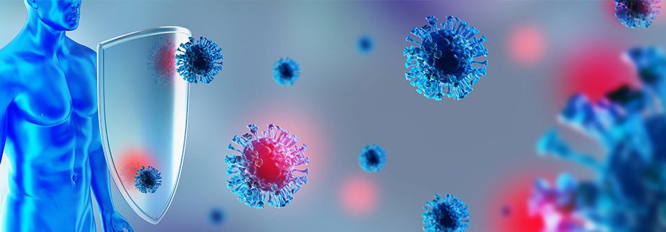 prendre soin de notre immunite biophenix Image