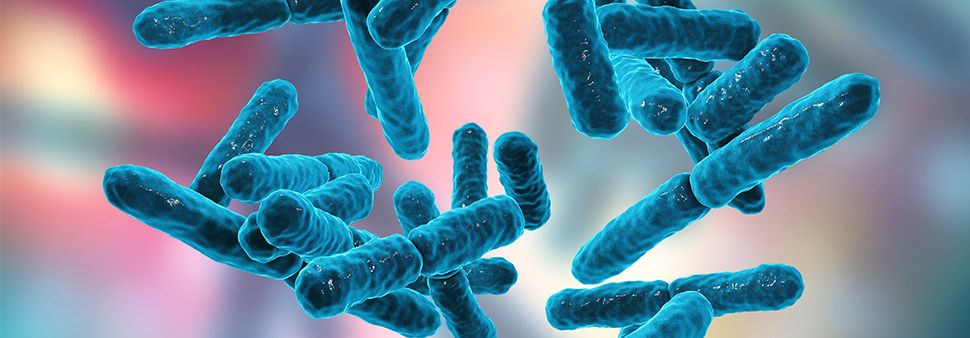 quel probiotique prendre pour soutenir les defenses naturelles biophenix Image