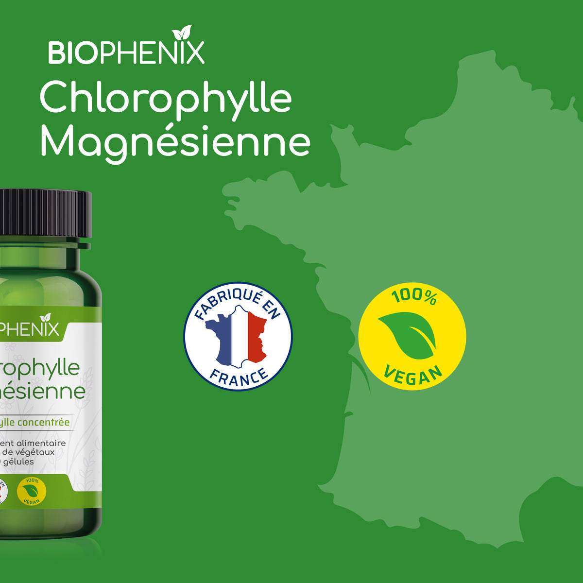 Chlorophylle Magnésienne