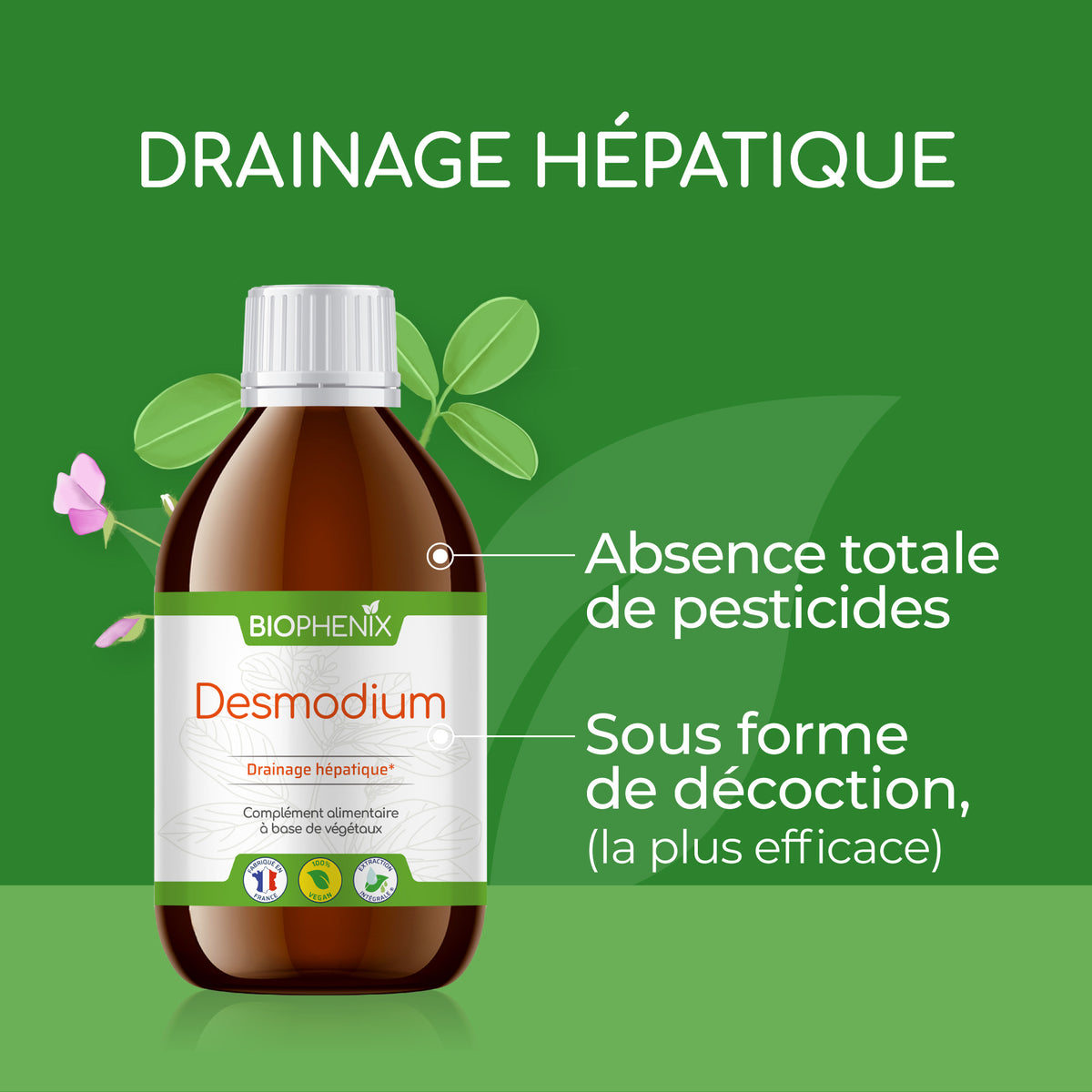 Desmodium