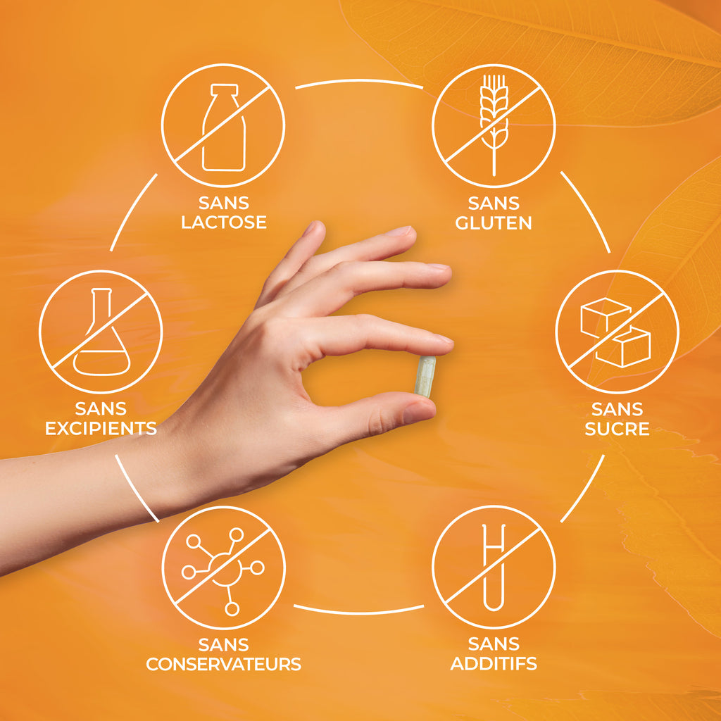 Vitamines B Bio