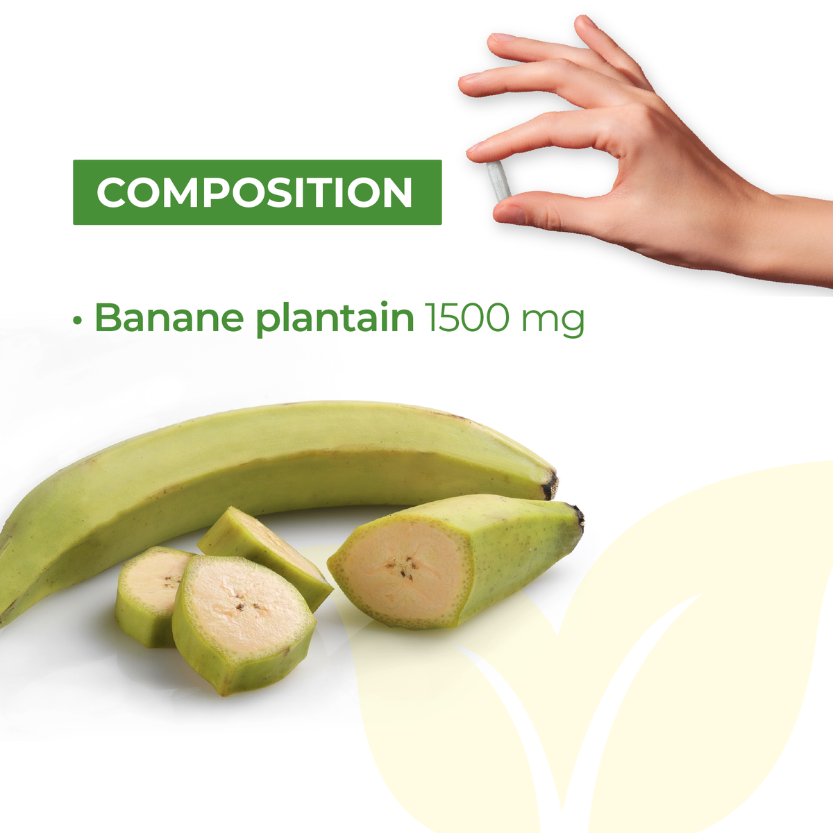 Banane plantain Bio