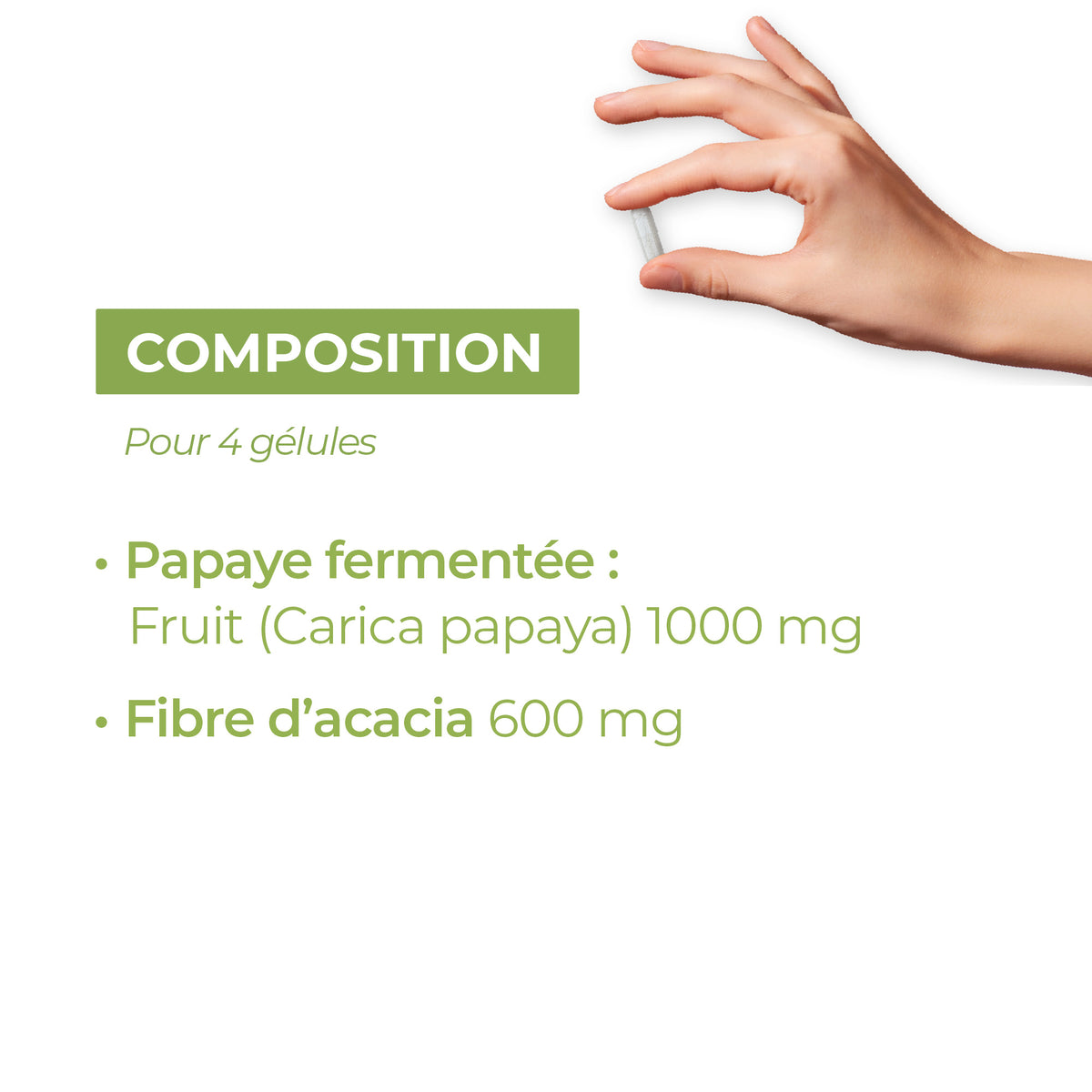 composition papaye