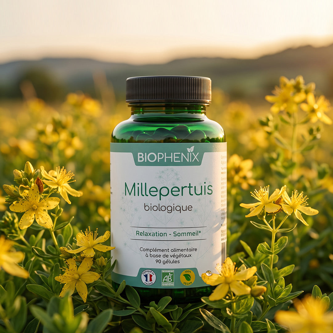 Millepertuis Bio