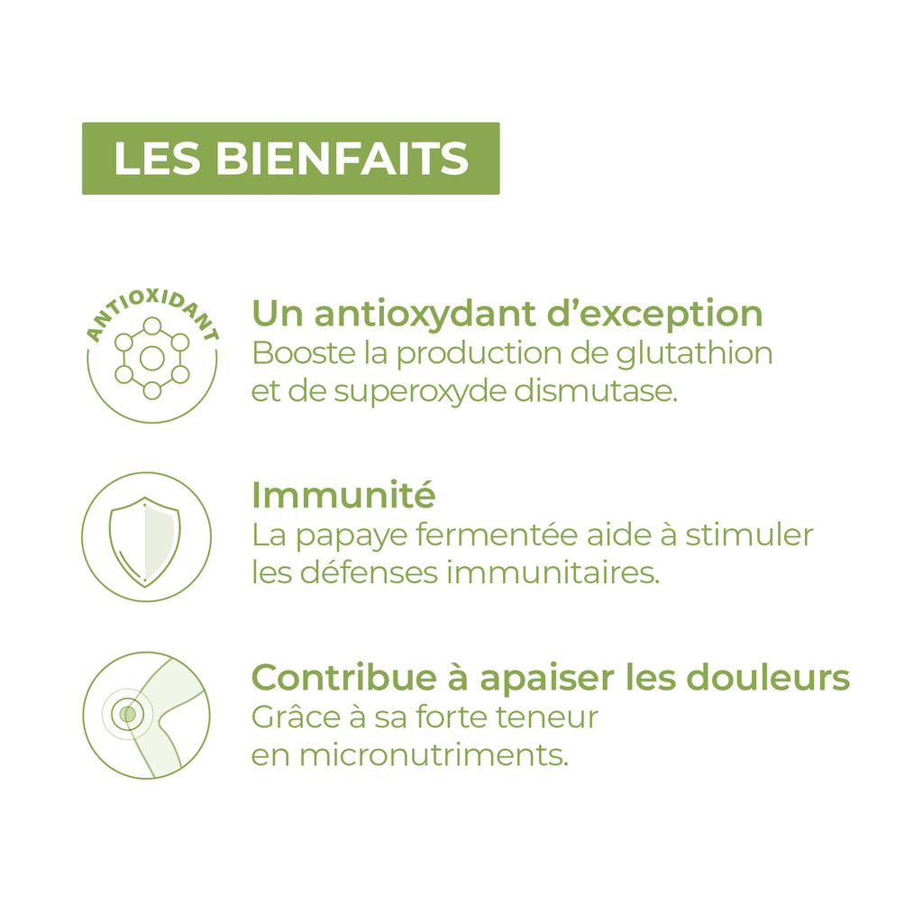 Papaye fermentée
