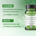 les bienfait chlorophylle magnesienne