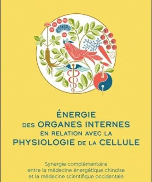 livre sur l'energie des organes internes